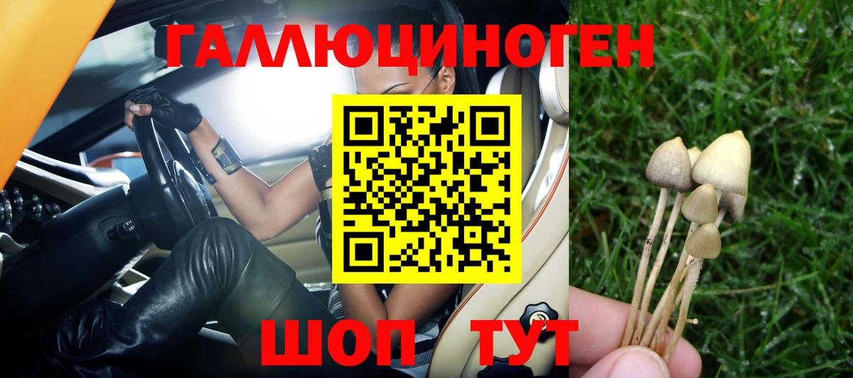 Псилоцибиновые грибы Psilocybine cubensis  Галлюциногенные грибы мицелий  Вход с VPN  Артёмовский 